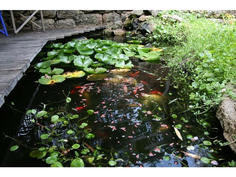 58 Palmerston Street, Mosman Park WA 6012