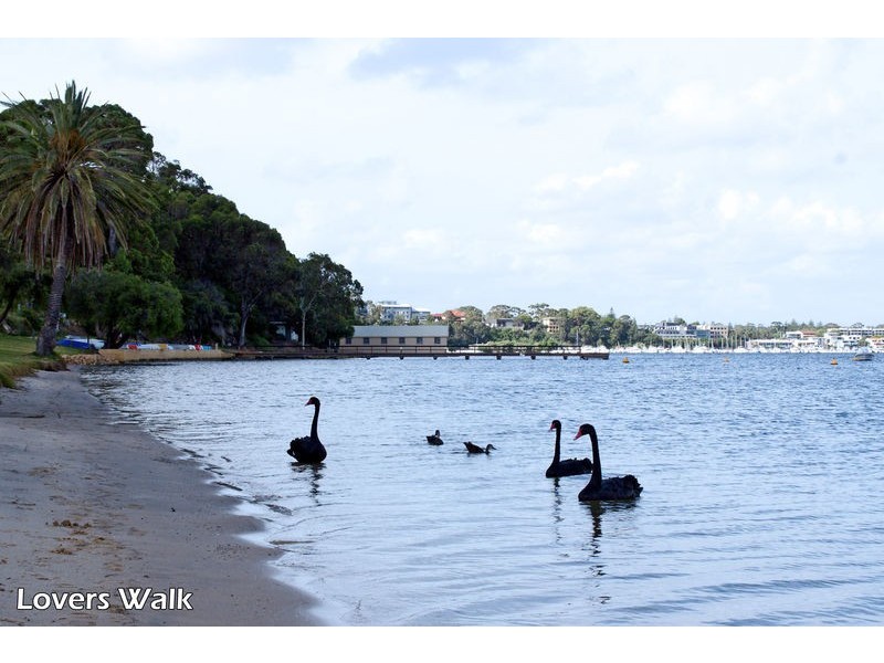 62 Johnston Street, Mosman Park WA 6012