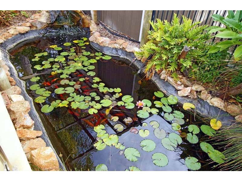 41 Griver Street, Cottesloe WA 6011