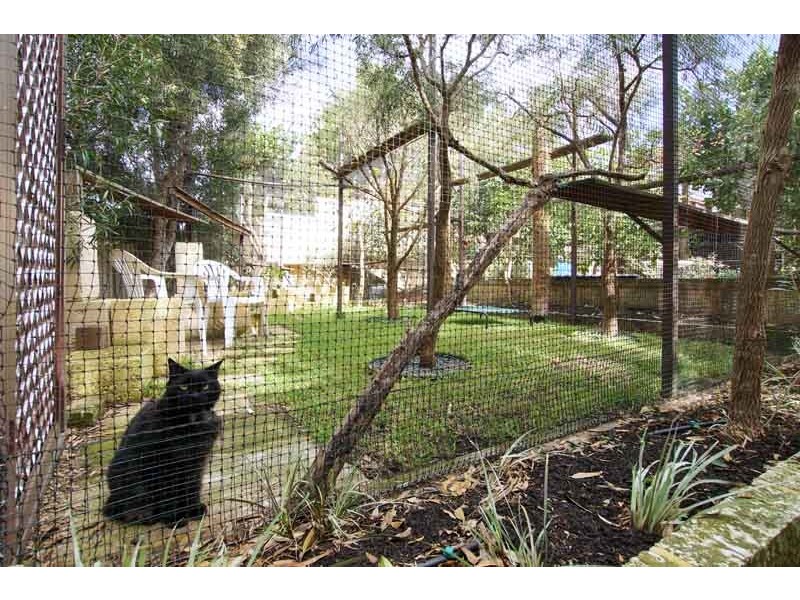 16 Broome Street, Cottesloe WA 6011