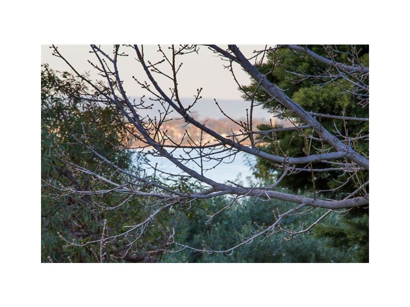 31/5 Park Avenue, Crawley WA 6009