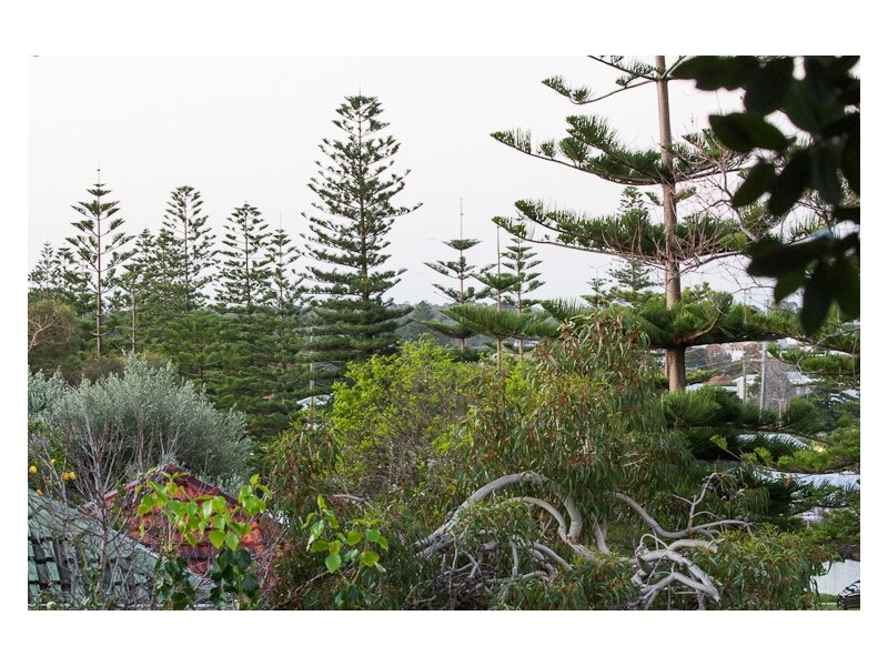 277 Marmion Street, Cottesloe WA 6011