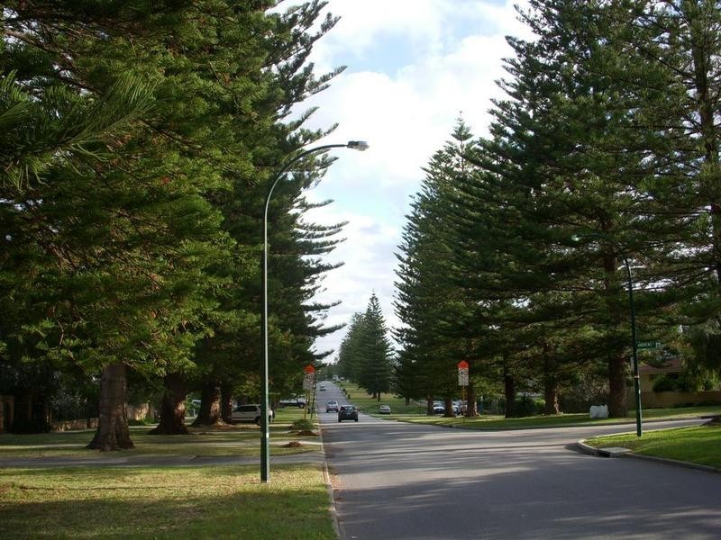 307 Marmion Street, Cottesloe WA 6011