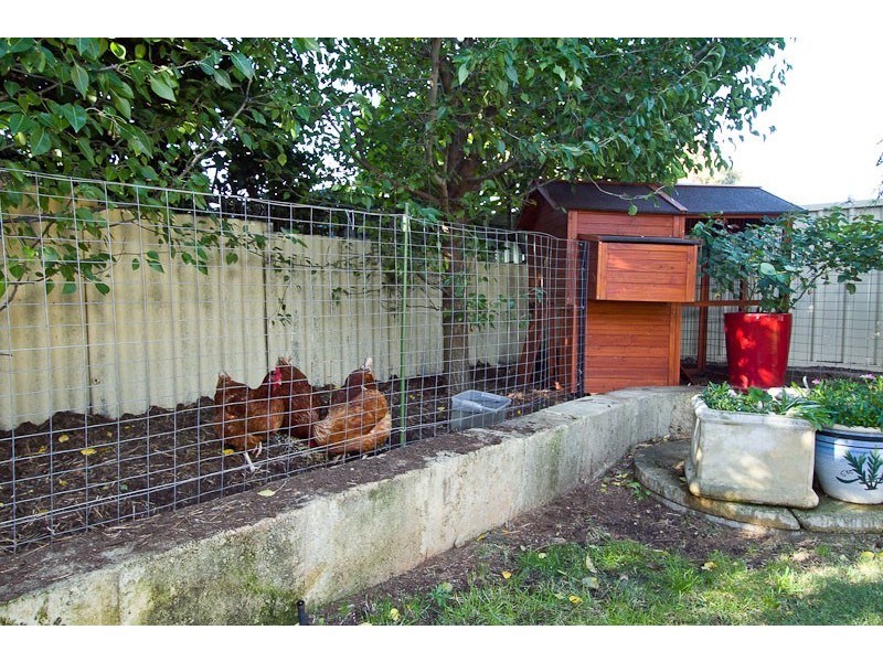 6 Chesham Way, Hamilton Hill WA 6163