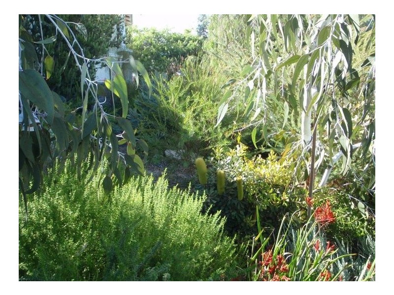 2 Greenham Street, Cottesloe WA 6011