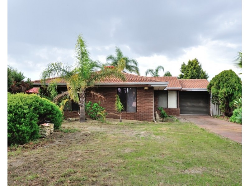 11 Regnans Close, Mirrabooka WA 6061