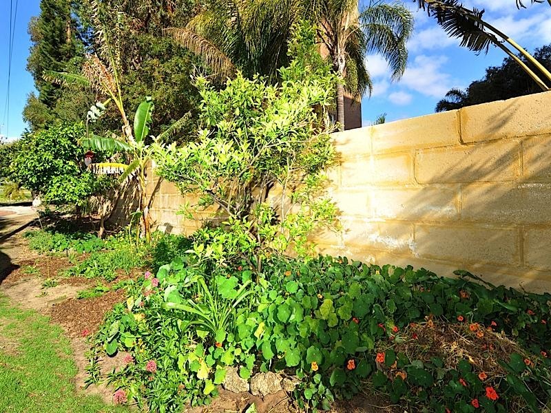 116/4 Dover Court, Mosman Park WA 6012