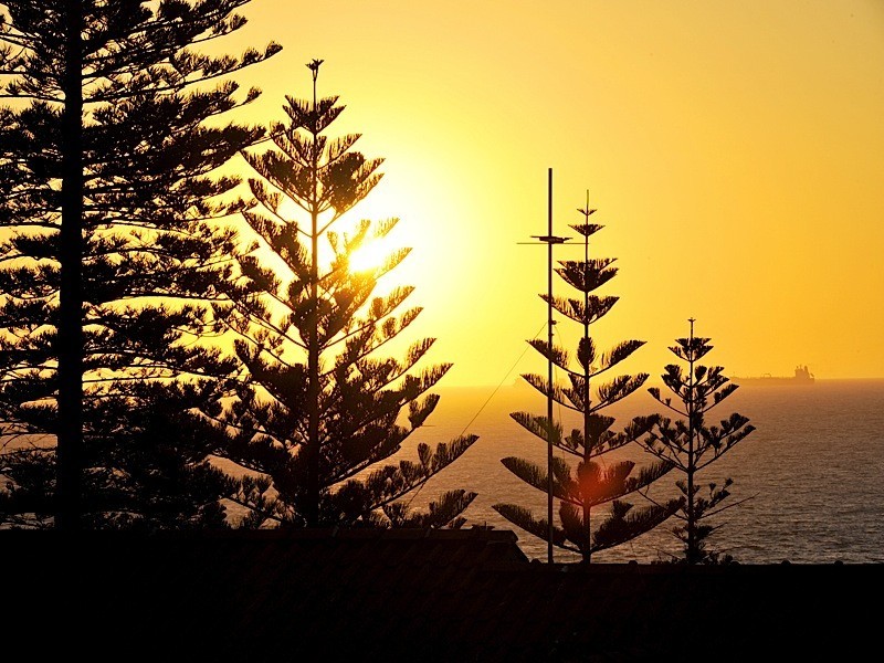 13 Avonmore Terrace, Cottesloe WA 6011