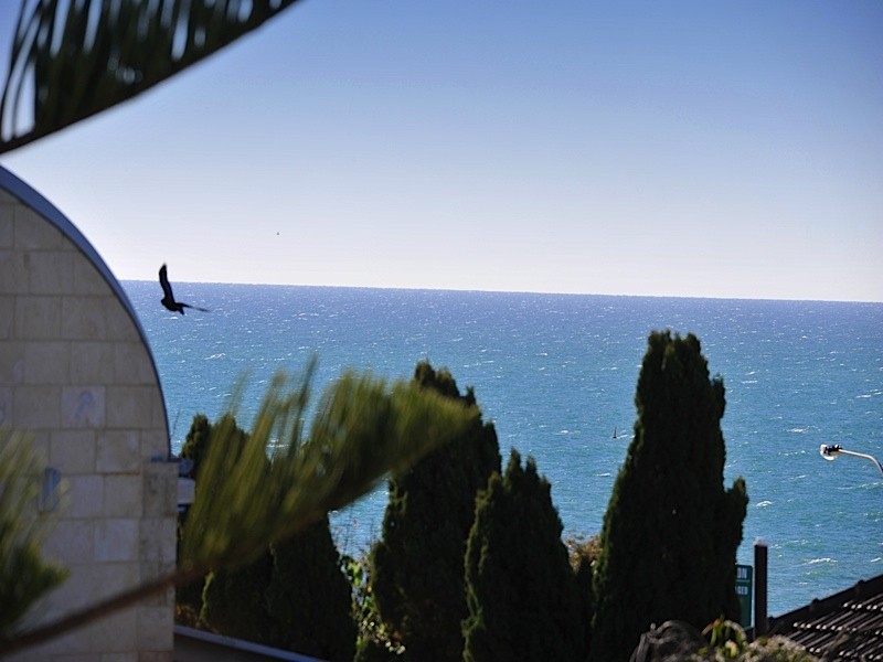 4/14 Hamersley Street, Cottesloe WA 6011