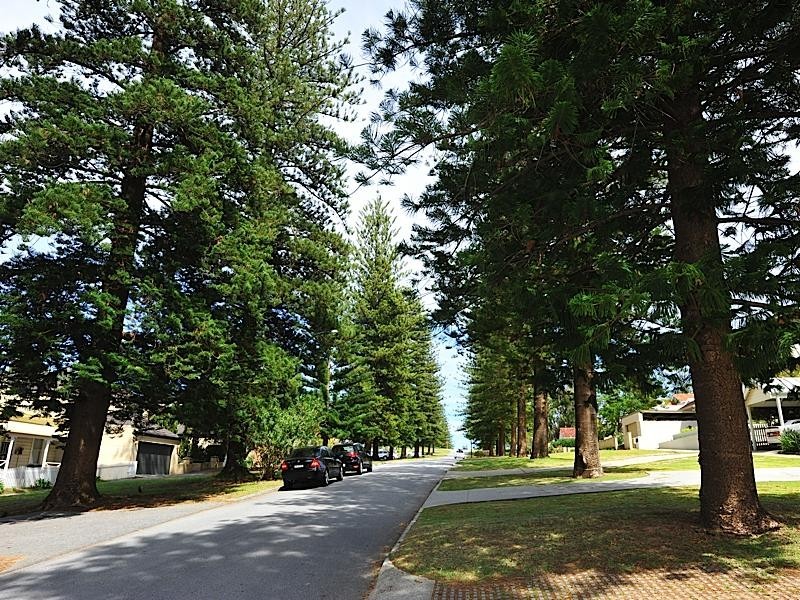 54 Pearse Street, Cottesloe WA 6011