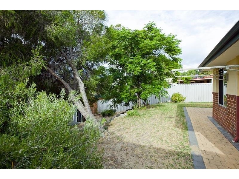 10 Cottonwood Place, O’connor WA 6163