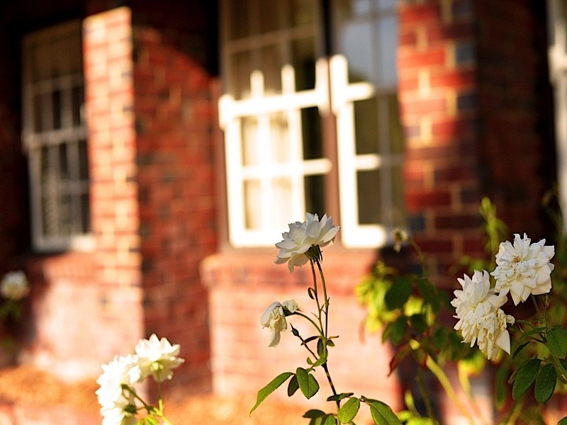 22 Hobbs Avenue, Dalkeith WA 6009