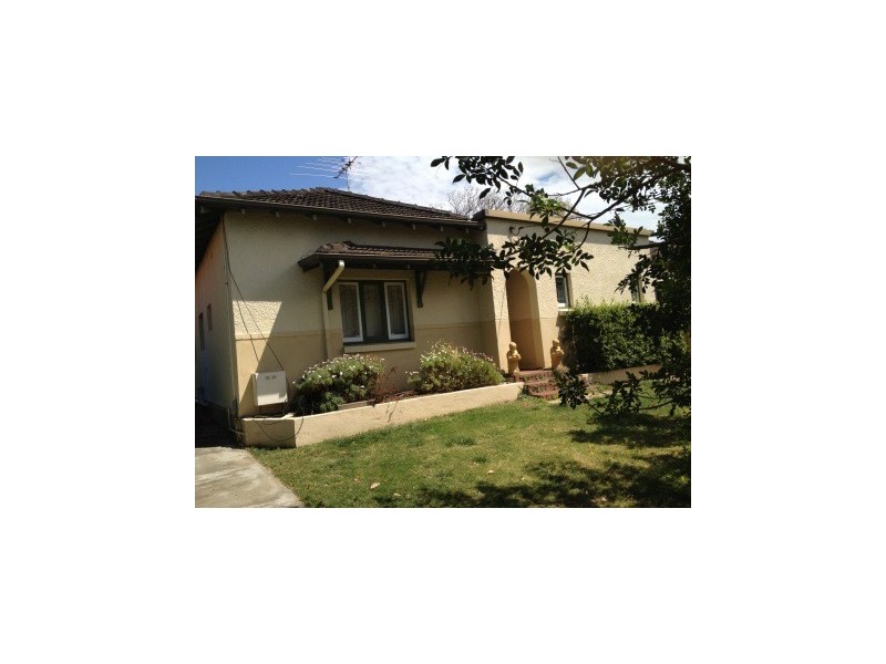 13 Napier Street, Nedlands WA 6009