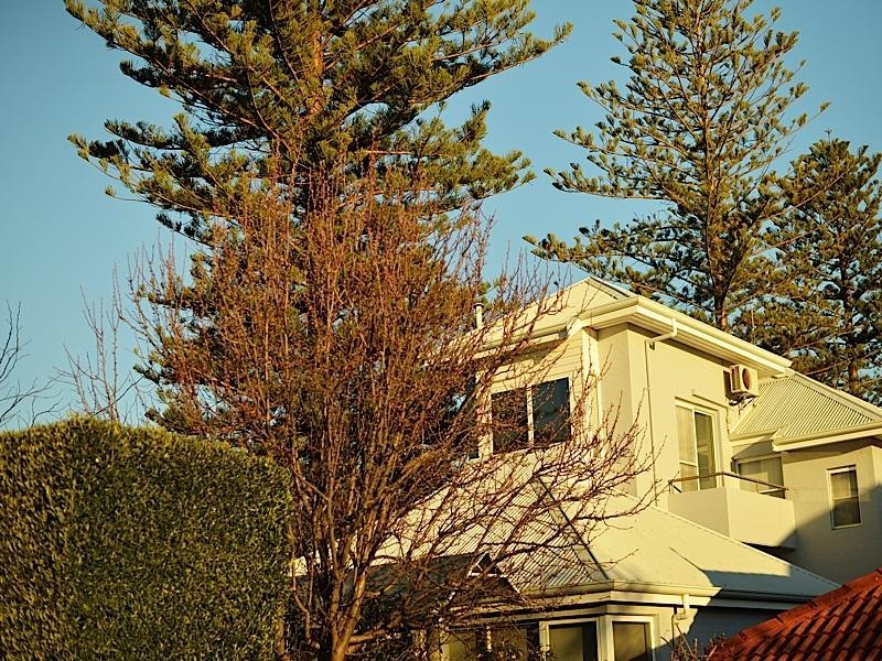 2 Reeve Street, Swanbourne WA 6010