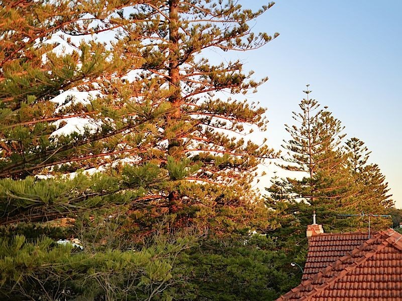 2 Reeve Street, Swanbourne WA 6010