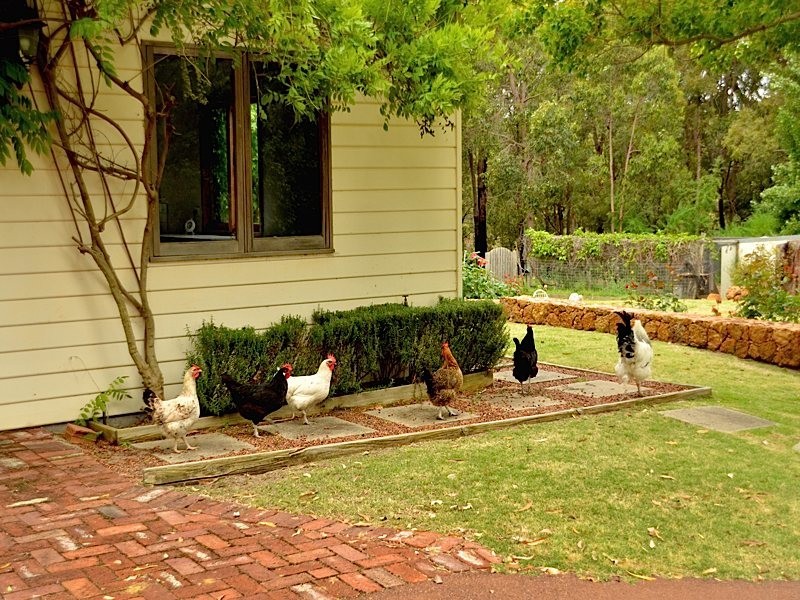 99 Moffett Road, Carmel WA 6076