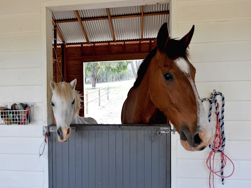 99 Moffett Road, Carmel WA 6076