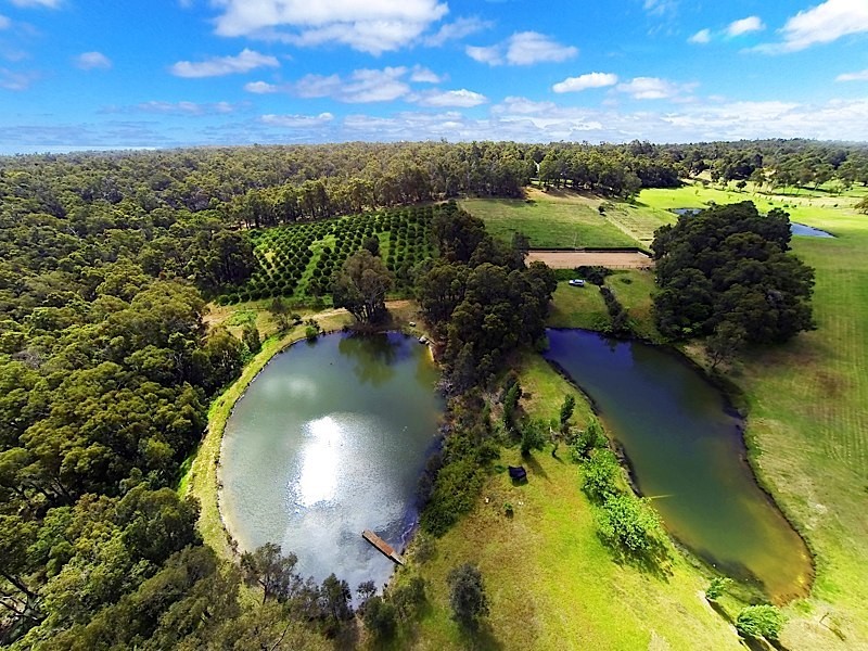 99 Moffett Road, Carmel WA 6076