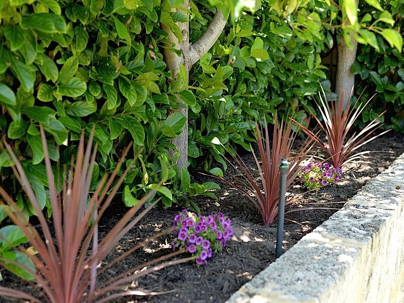 27 Brighton Street, Cottesloe WA 6011