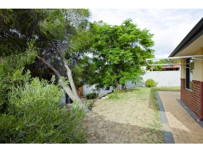 10 Cottonwood Place, O’connor WA 6163