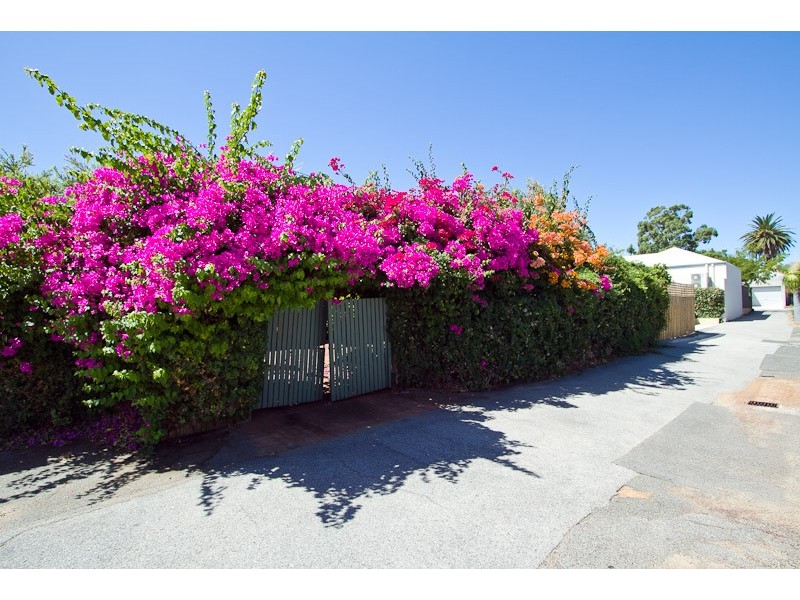 17a Burt Street, Cottesloe WA 6011
