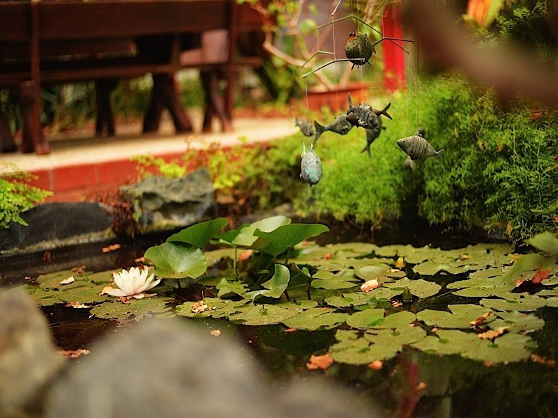 11 Haining Avenue, Cottesloe WA 6011