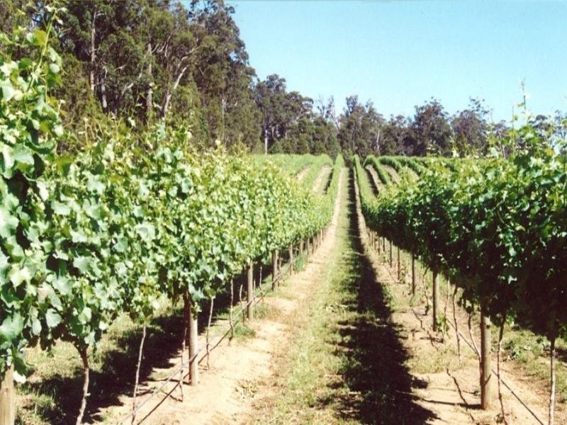 Margaret River WA 6285