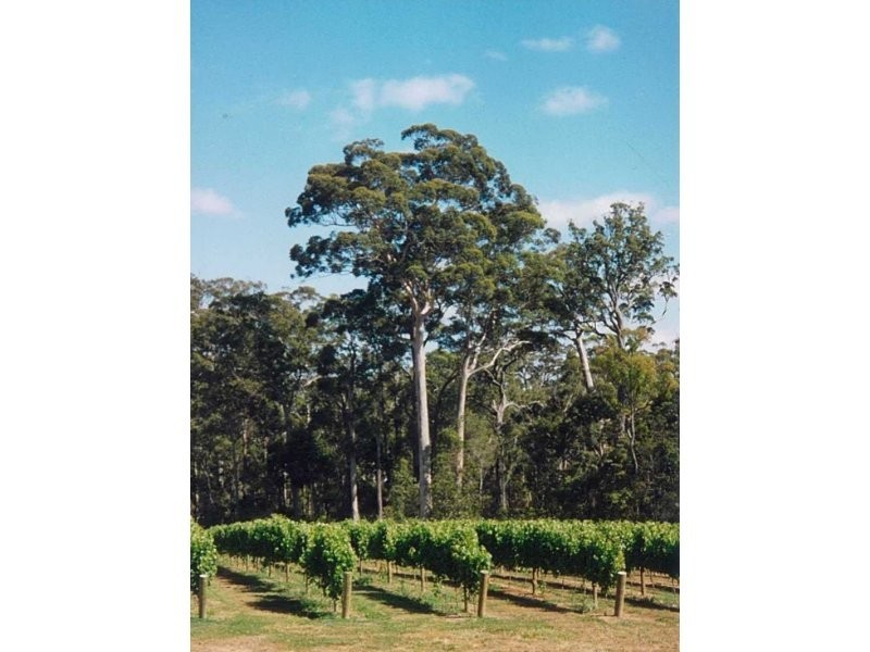 Margaret River WA 6285