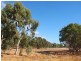 195 Mewett Road, Quindalup WA 6281