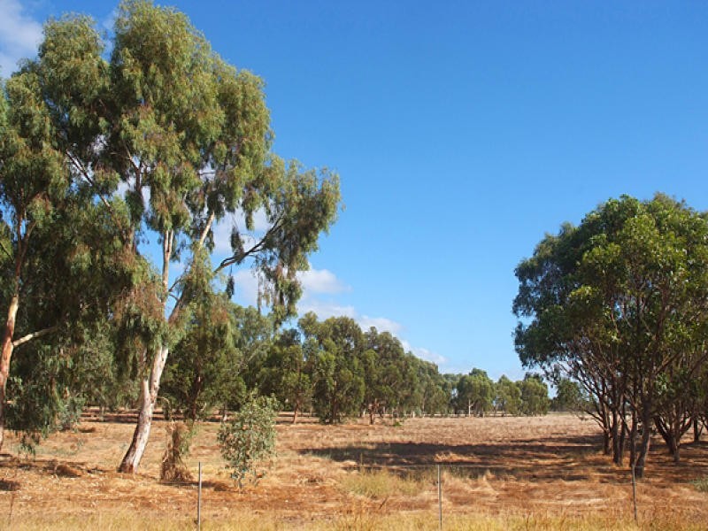 195 Mewett Road, Quindalup WA 6281