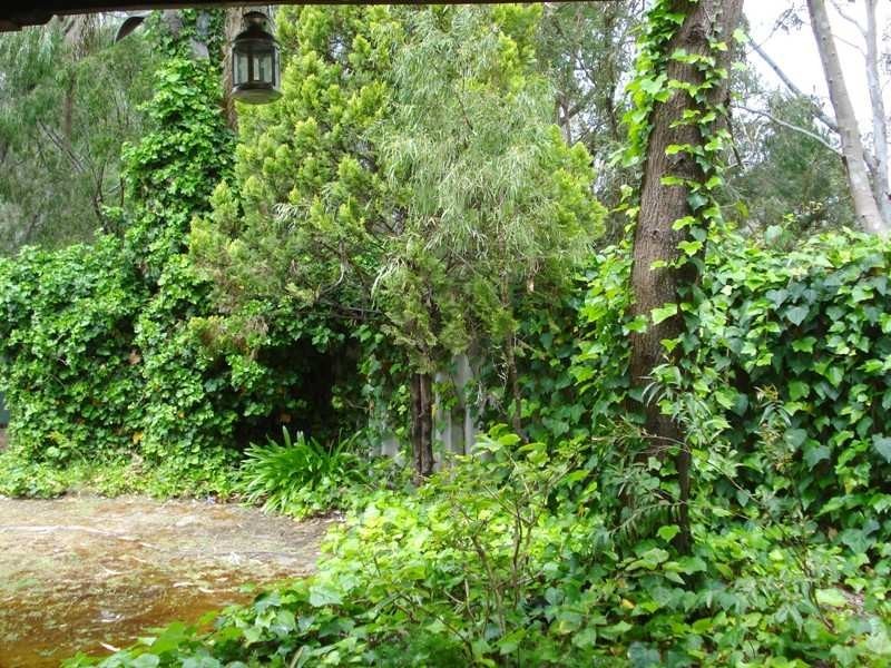 2/19 Kunzea Place, Dunsborough WA 6281