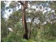 Lot 2 Butterly Road, Yallingup WA 6282