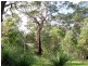 Lot 2 Butterly Road, Yallingup WA 6282