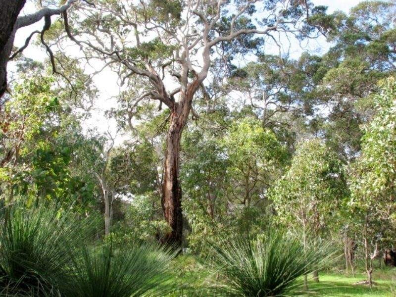 Lot 2 Butterly Road, Yallingup WA 6282