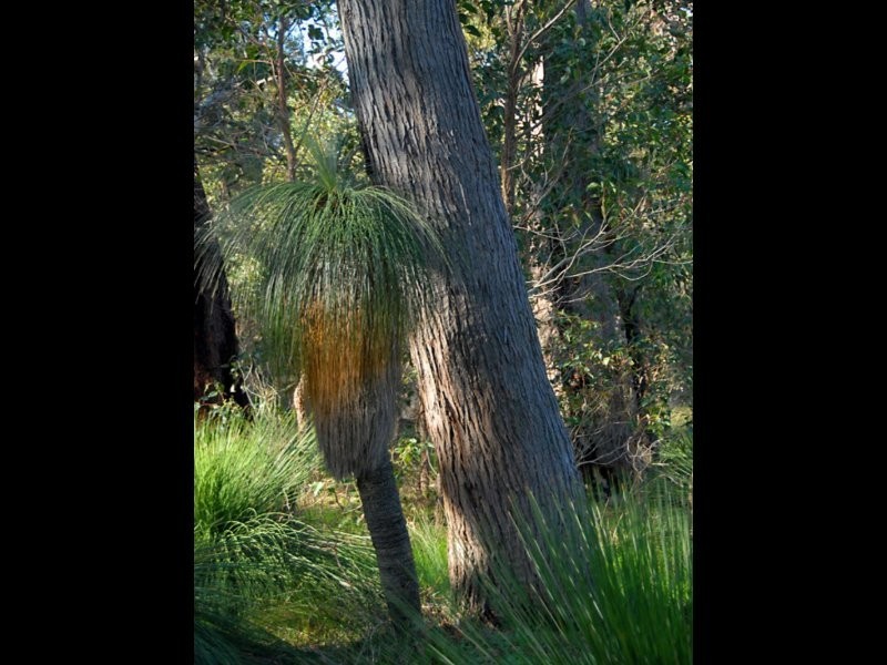 Lot 2 Butterly Road, Yallingup WA 6282