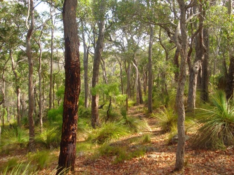 Lot 44 Vintners Drive, Quindalup WA 6281