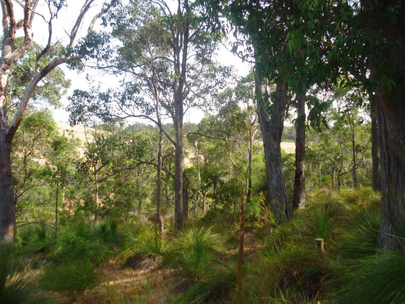 Lot 44 Vintners Drive, Quindalup WA 6281