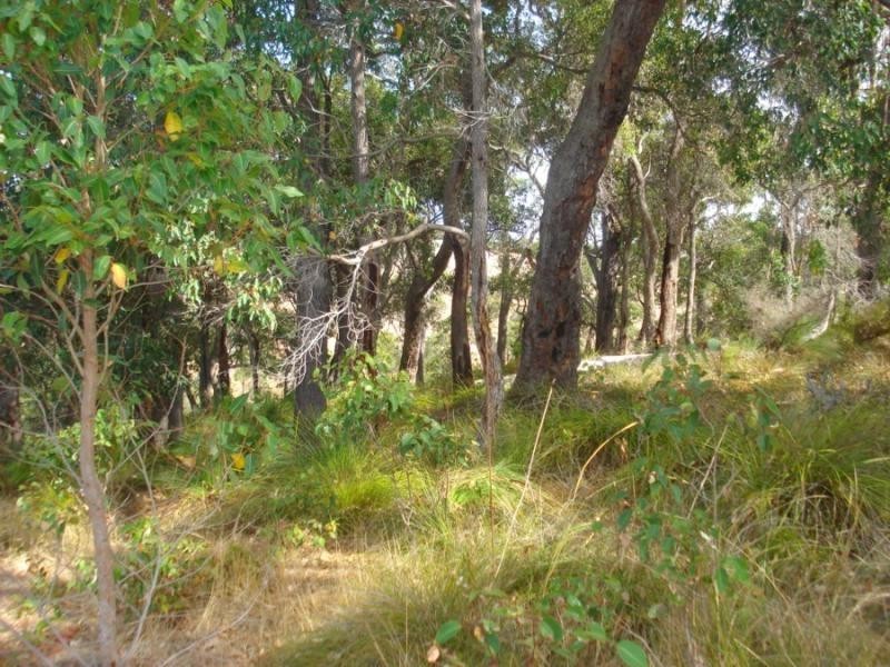 Lot 44 Vintners Drive, Quindalup WA 6281