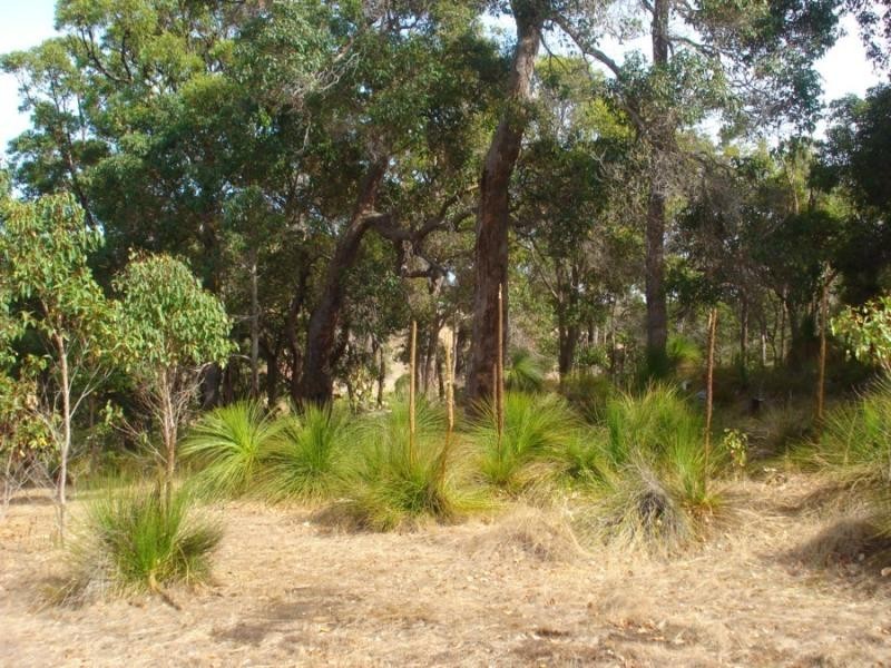 Lot 44 Vintners Drive, Quindalup WA 6281