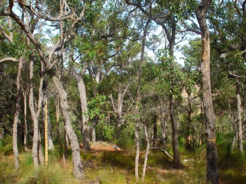Lot 44 Vintners Drive, Quindalup WA 6281
