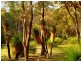 Bronzewing Road, Dunsborough WA 6281