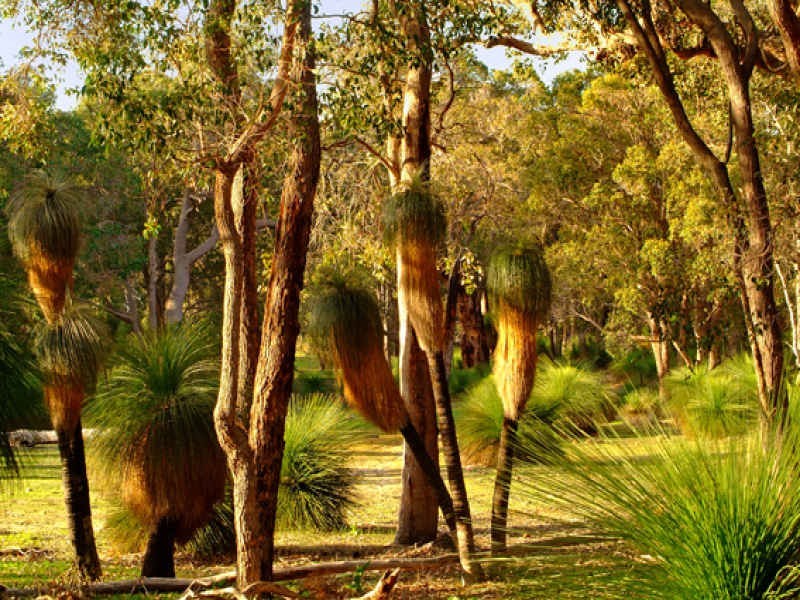 Bronzewing Road, Dunsborough WA 6281