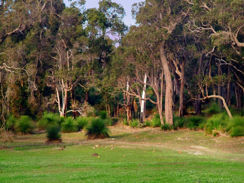 Bronzewing Road, Dunsborough WA 6281