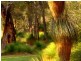 Bronzewing Road, Dunsborough WA 6281