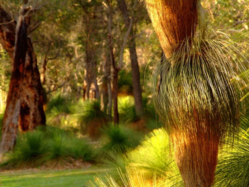 Bronzewing Road, Dunsborough WA 6281