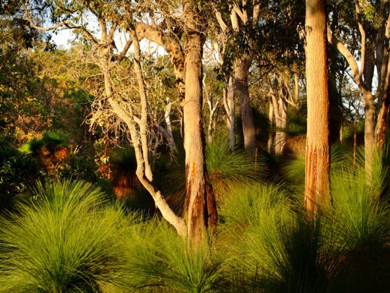Bronzewing Road, Dunsborough WA 6281