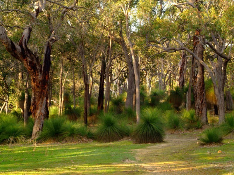 Bronzewing Road, Dunsborough WA 6281