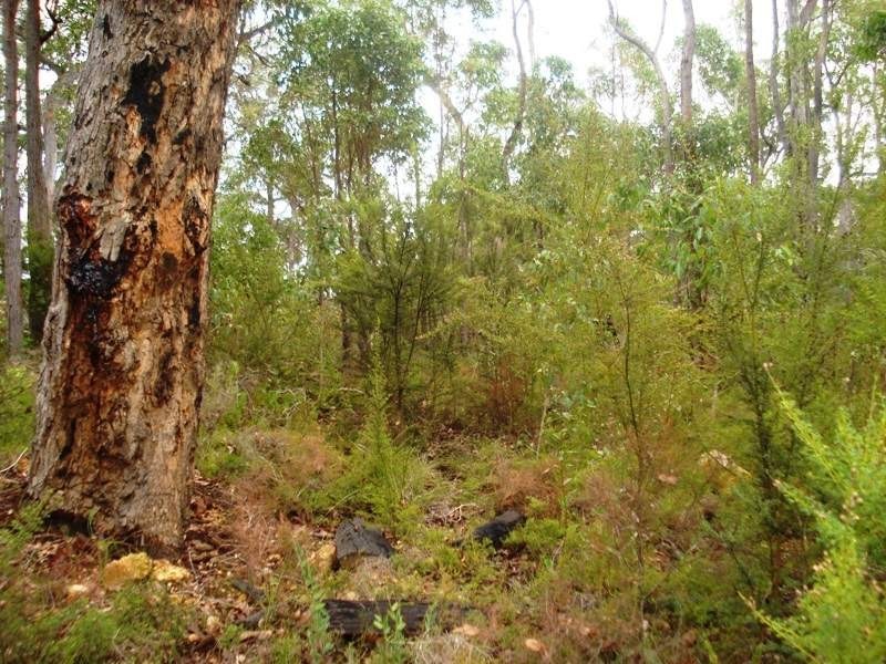 8 Sanctuary Circle, Cowaramup WA 6284