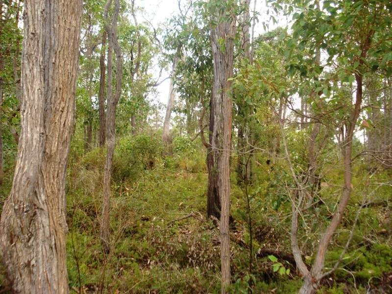 8 Sanctuary Circle, Cowaramup WA 6284