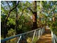 Cnr Maybrook Forest Estate Lots Sloan Drive & Okapa Rise, Dunsborough WA 6281